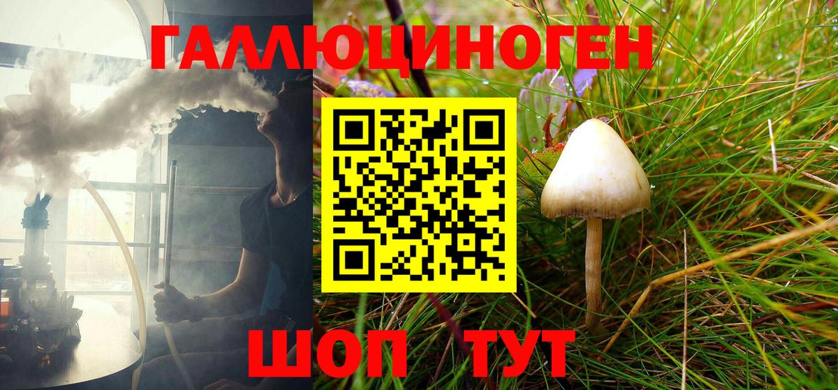 Псилоцибиновые грибы GOLDEN TEACHER Советск